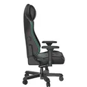 Кресло DxRacer I-DMC/MAS2022/NE черное с зелеными вставками, экокожа, 4D-подлокотники, мех 600010951028 зеленый; черный